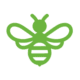 green bee icon