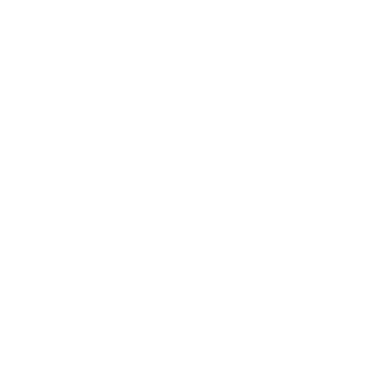 values shield