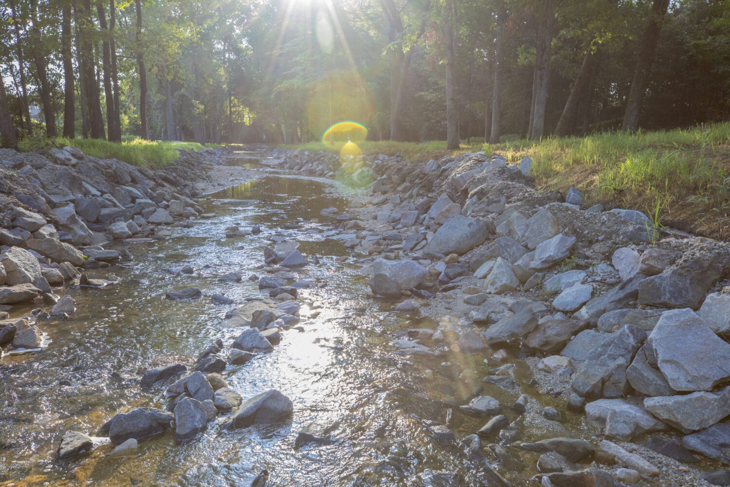 ecosystems stream